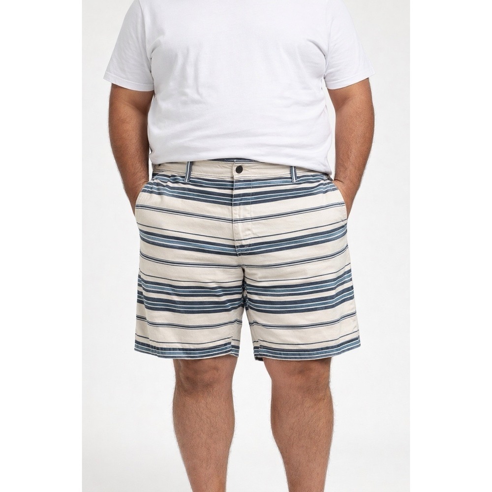 Lucky Brand Striped Shorts Mens 40 Blue Beige Casual Summer Flat Front Shorts